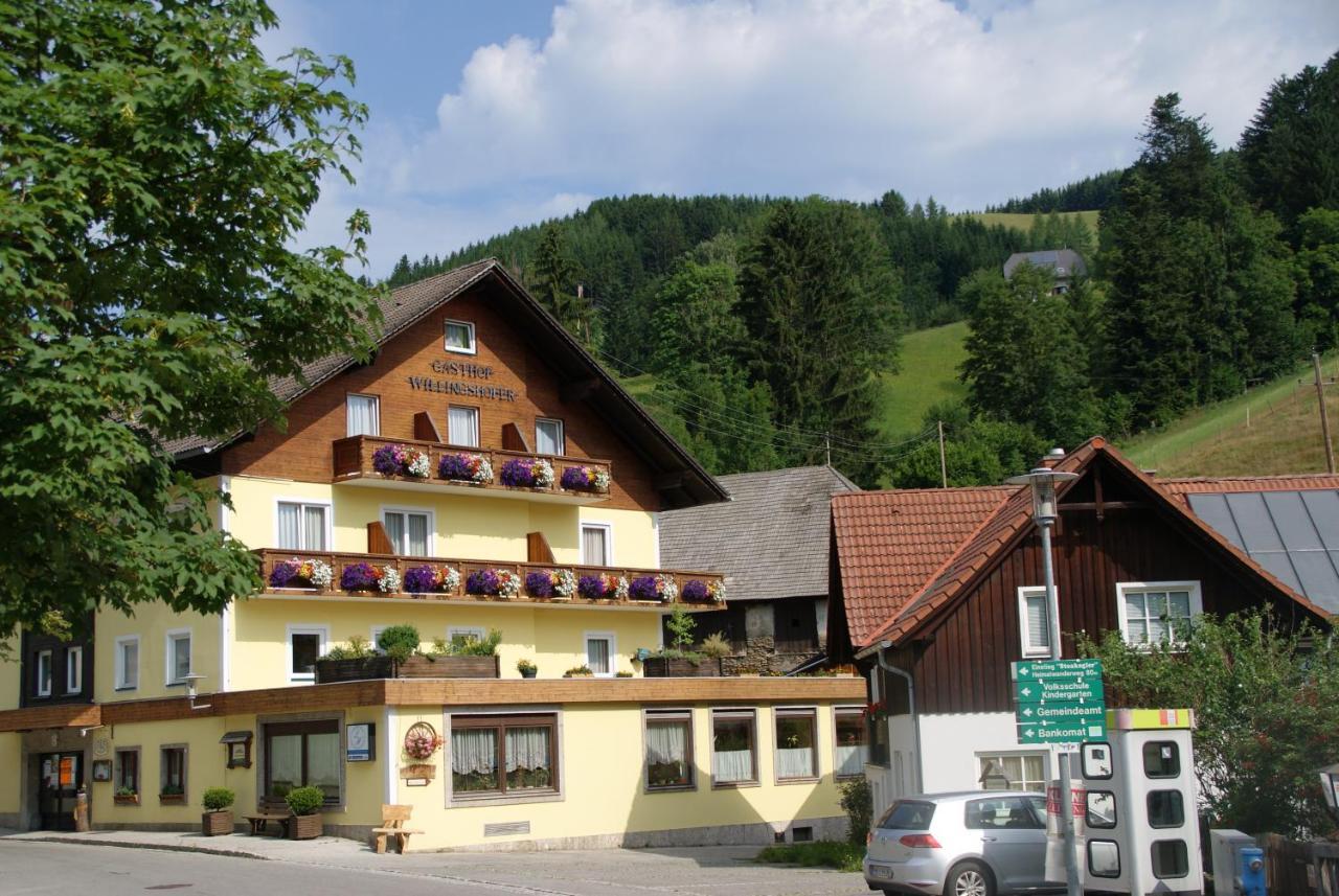 Landhotel-restaurant Willingshofer Hotel 3*
